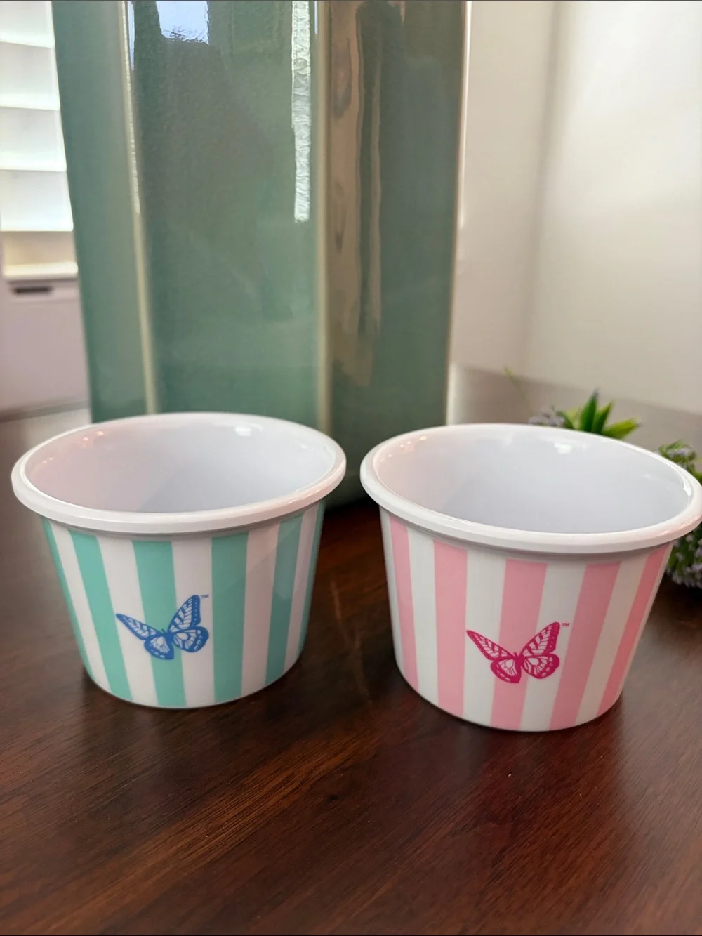 Dolly Parton Striped Mint & Pink Butterfly Ramekins Set of 2 Ice Cream Cups